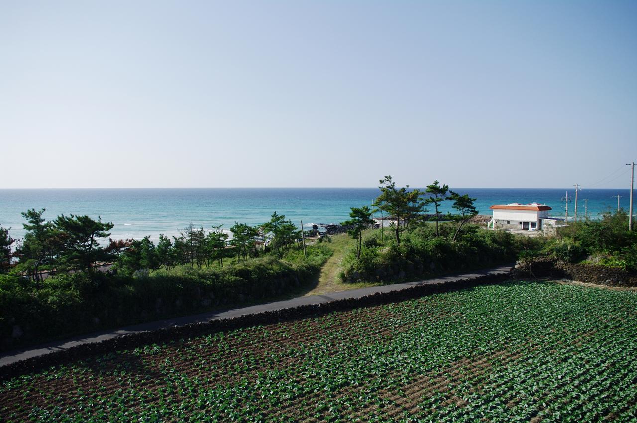 6Pm Pension Jeju Exterior foto